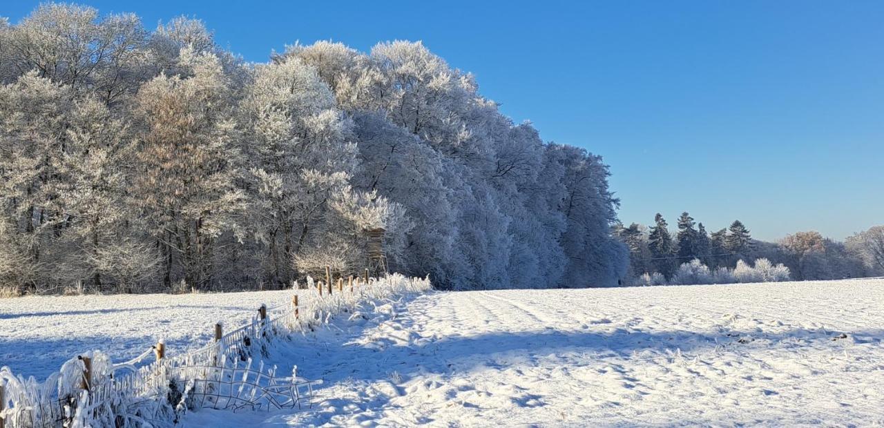 Steewer Landhaus Gemuetliche Ferienwohnung Bis 6 Pers In Ruhiger Ortsrandlage Stebach Luaran gambar