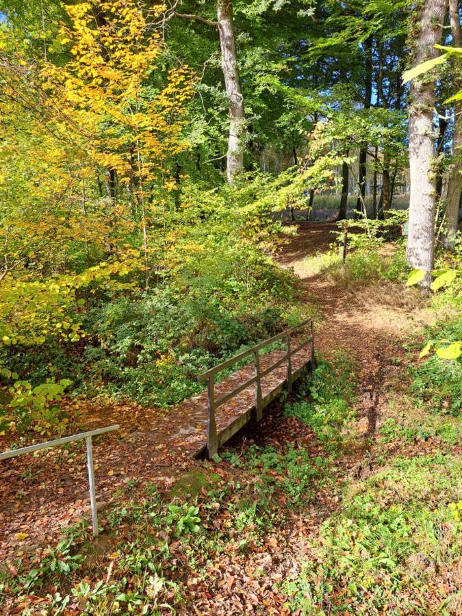 Steewer Landhaus Gemuetliche Ferienwohnung Bis 6 Pers In Ruhiger Ortsrandlage Stebach Luaran gambar
